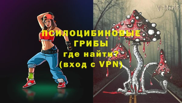 a pvp Верея