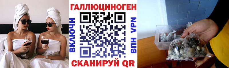 Галлюциногенные грибы Magic Shrooms  Купить закладки  Буй 